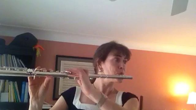 JS Bach "Siciliano" from Flute Sonata in E flat смотреть онлайн