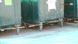 Мусорную площадку на Трубников обживают крысы