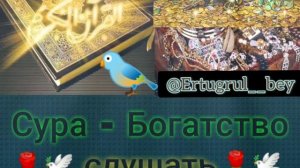 Сура Аль Вакиа Богатство, с пением птиц, Сиратулло Раупов