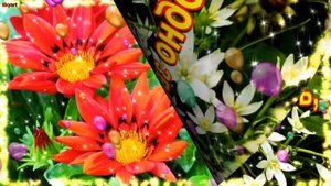 Поздравления с Днем Рождения Сестре от Сестры! Новинка! Прекрасное Видео Поздравление!