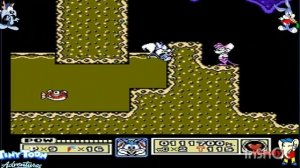 Tiny Toon Adventures: hack. прохождение игры денди.(тини Тун)nes, dendy,