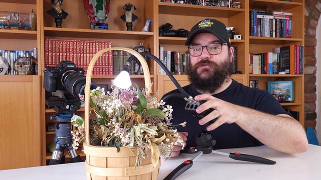 Can dead flowers still be great macro subjects?