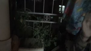 Квартира обычного китайца в Шеньчжэнь - Жизнь в Китае #64