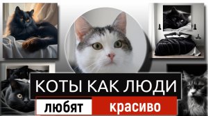 Коты любят красиво.