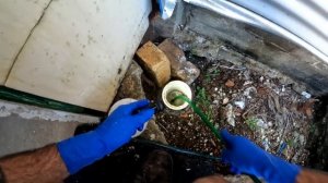 Blocked Drain 275 - Main Drain Completely Blocked | Drain Maintenance Required