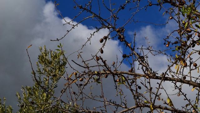 Зимняя #Сицилия #Sicily #agrigento