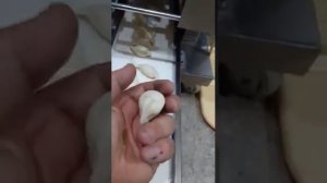 Пельменный аппарат с тестораскаткой