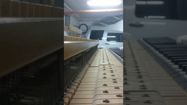 Регулировка абника и репетиции в механике рояля Блютнер смотреть онлайн