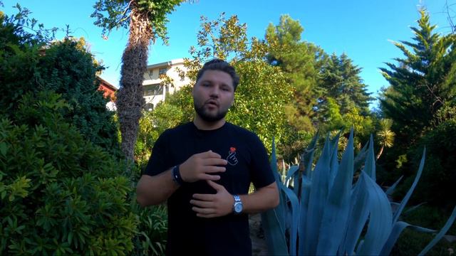 Недвижимость Сочи покупка квартир и инвестиции REAL MAX