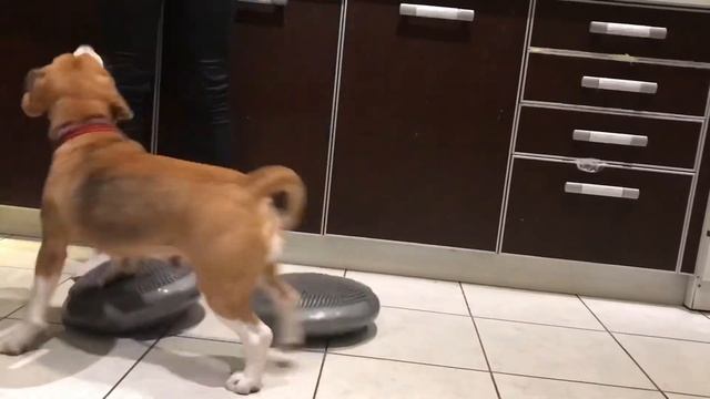 Как мы с Чили приходили в форму после родов ❤️ смотреть онлайн