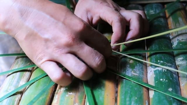 Thử Thách Sinh Tồn Trong Rừng Mưa Một Mình -EP.55 |Survival Alone In The Rainforest смотреть онлайн