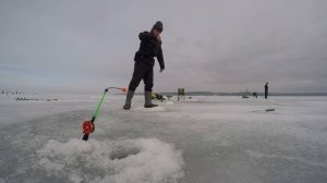 Ловля Корюшки в Приморске | Финский залив