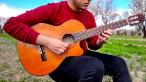 Rema - Calm Down | Guitar Cover In Nature
