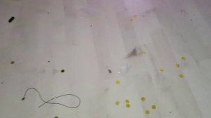 Купила вертикальный пылесос?? Мой отзыв на пылесос Kitfort KT-5105-3 | Брать или не брать??♀️