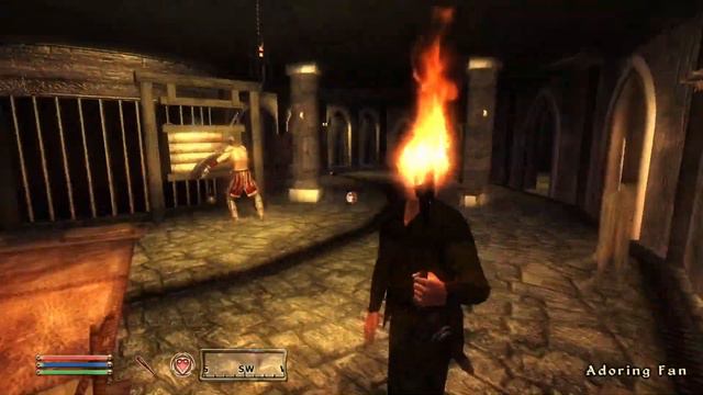 Day 40 - Killing Adoring Fan Every Day Until Elder Scrolls Skyblivion is Released