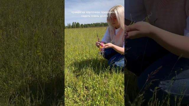 сбор цветов для украшений? #смола #цветы #люпины