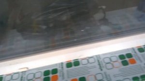 установка подоконника ПВХ пластикового