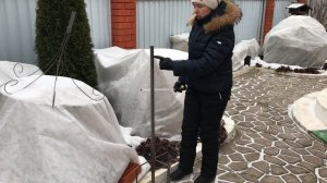 Конструкция опоры для штамбовой розы