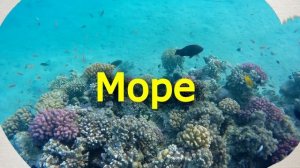 Шарм Эль Шейх или Хургада? Что лучше? Куда ехать зимой и летом?