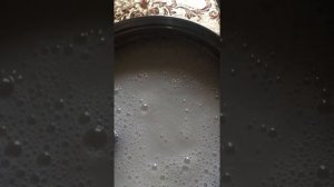 Понос у бычков что делать