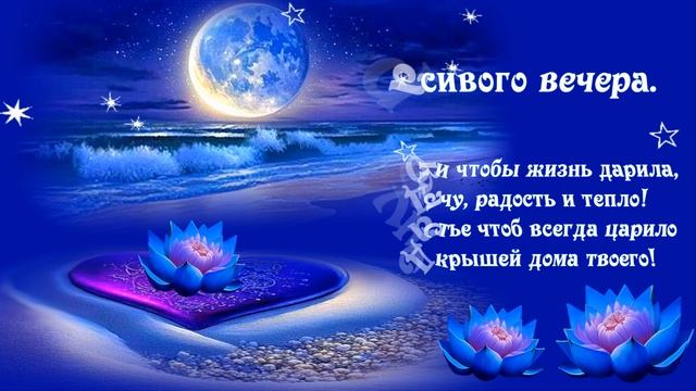 Сказочного вечера. САДко группа – Ночь.