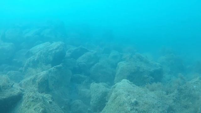 Дайвинг в Сочи 2022. Погружение с аквалангом Сириус. Дайвинг клуб Go Dive. Цены на дайвинг в Сочи. смотреть онлайн