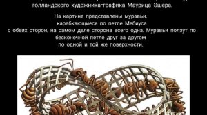 Лента Мёбиуса