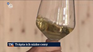 Slovenských vinárov ničí "demokracia" | 17.8.2019