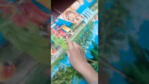 Распоковка жгутов с пондао для рогатки