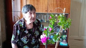 Бугенвиллия - необыкновенно прекрасный цветок