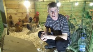 Самые выгодные куры в птичьем хозяйстве!