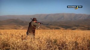Охота на перепела в Казахстане