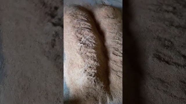 Ферментация отрубей