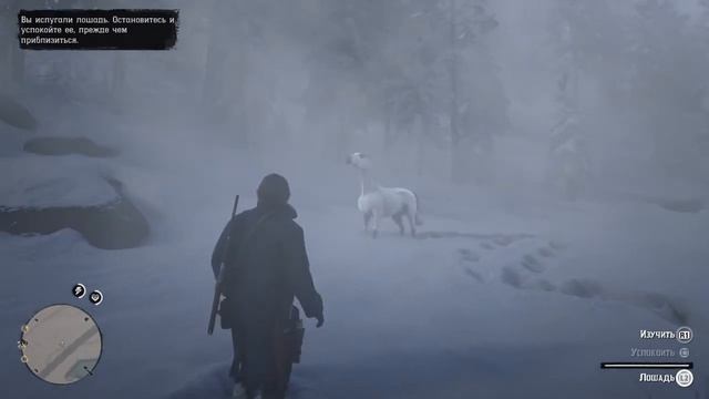 КАК НАЙТИ САМУЮ ЛУЧШУЮ ЛОШАДЬ RED DEAD REDEMPTION 2  АРАБСКИЙ СКАКУН В  RD2