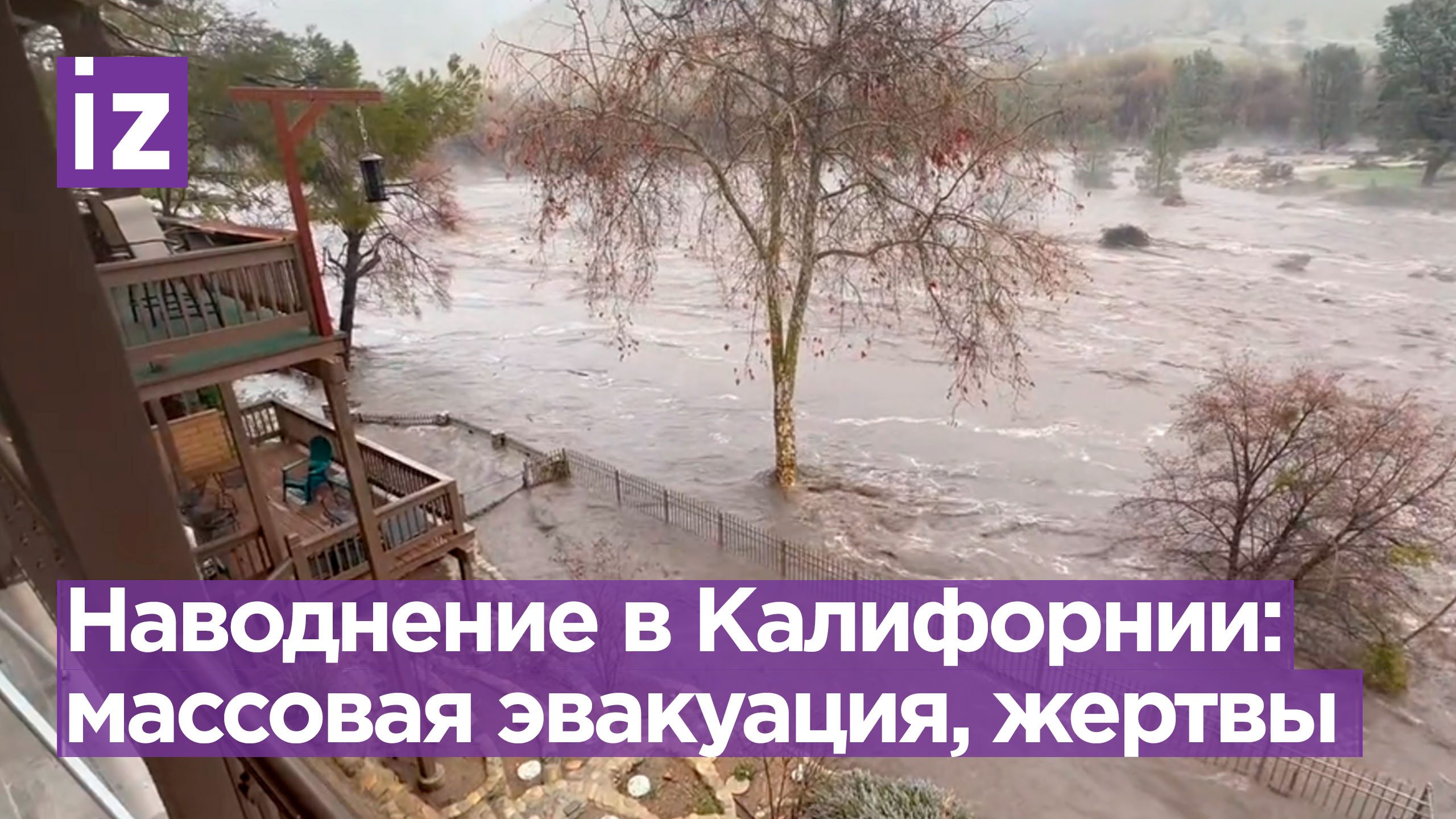 Мем потоп