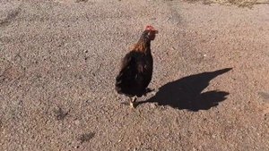 Изготовление рулевой колонки на конических подшипниках для мотоцикла.