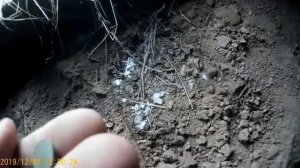 Поиск в заброшенных домах, ищем монеты!