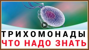 ТРИХОМОНАДЫ - ЧТО НАДО ЗНАТЬ.mp4