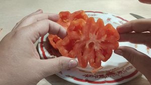 Томат Весëлый Сосед от компании Гавриш.