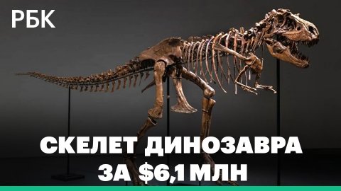На аукционе Sotheby’s продали скелет динозавра возрастом 77 млн лет за $6,1 млн