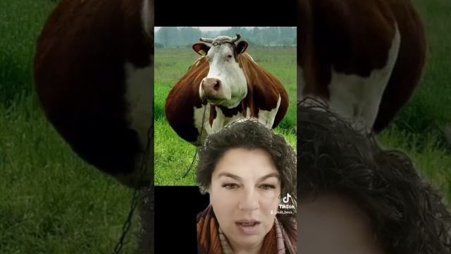 "Иуда", ведущий за собой смотреть онлайн