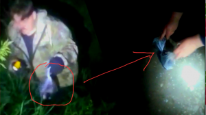 Где-то глубоко в овраге ночью нашли мешок с котятами| Они плакали и звали на помощь|Выживут? Kittens