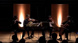 Sebastian Wittiber and Haba Quartet plays W.A. Mozart - Flute Quartet D-Major KV 285