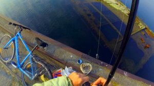 рыбалка на бельдюгу и бычка, полуостров в Балтийском море!