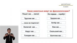 6-класс   | Pусский язык |   Фразеологизмы