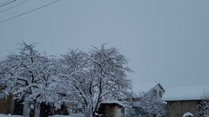 Цунтинский район.С.Хупри.6.02.2024 г.