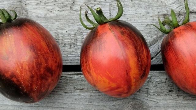 Томат Гаргамель. Красный в чёрном! смотреть онлайн