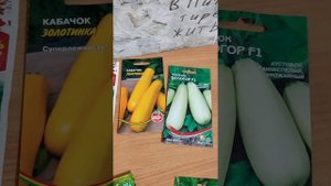 раннеспелые сорта кабачков
