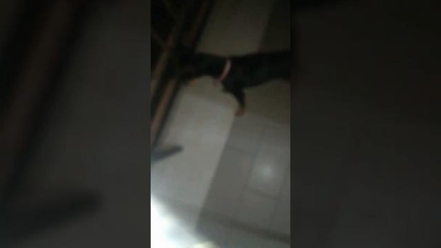 discorsi dal balcone (romeo e giulietta ??? смотреть онлайн