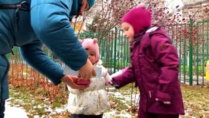 Кормушка для птиц дети вешают Оригинальная кормушка для птиц Зима